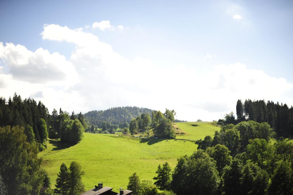 Ferien Residenz Bergfried Hotel ฮินเทอร์ซาร์เทน ภายนอก รูปภาพ